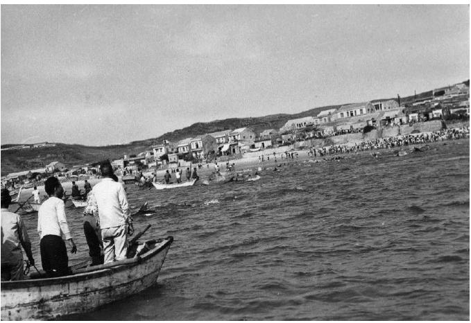 1970年澎湖外垵村渔民趕海豚的盛況。