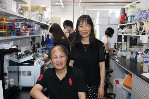 
	許游章教授與楊新玲教是研究室最佳拍檔。
