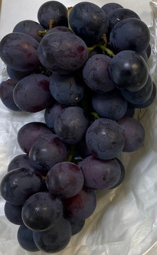 
	葡萄水果

